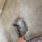 Ein Eimer? Ein Eimer…